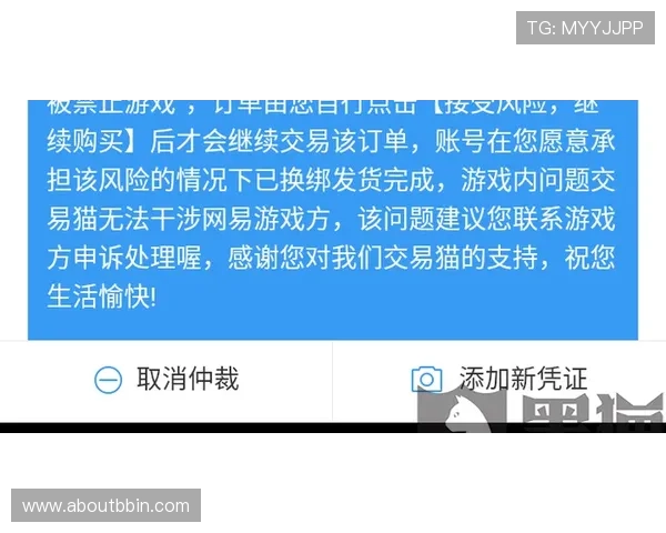 使用bbin官方登录入口遇到问题怎么办，详细故障排查与客服支持指南
